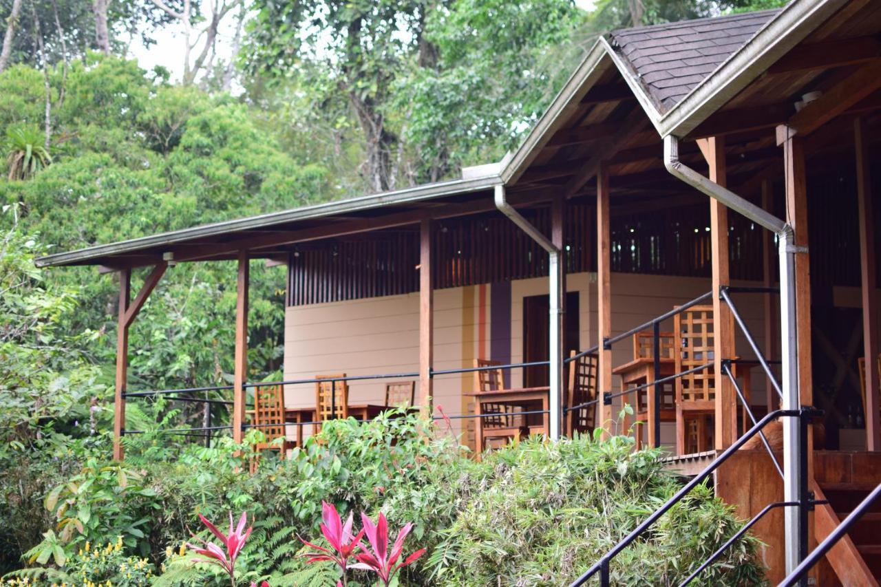 Hamadryade Lodge Puerto Misahuallí Εξωτερικό φωτογραφία