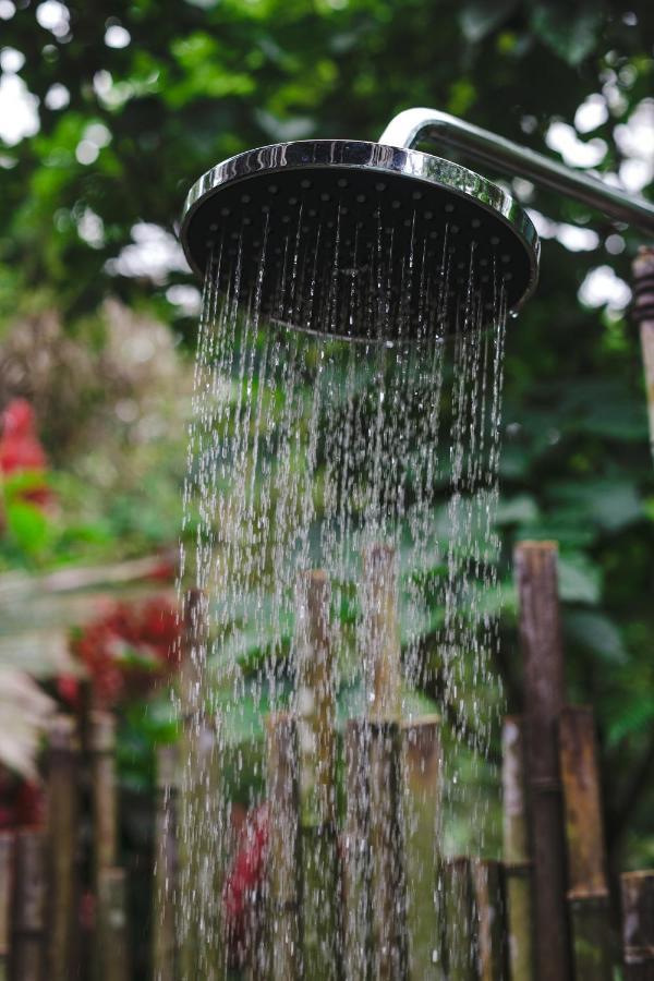 Hamadryade Lodge Puerto Misahuallí Εξωτερικό φωτογραφία