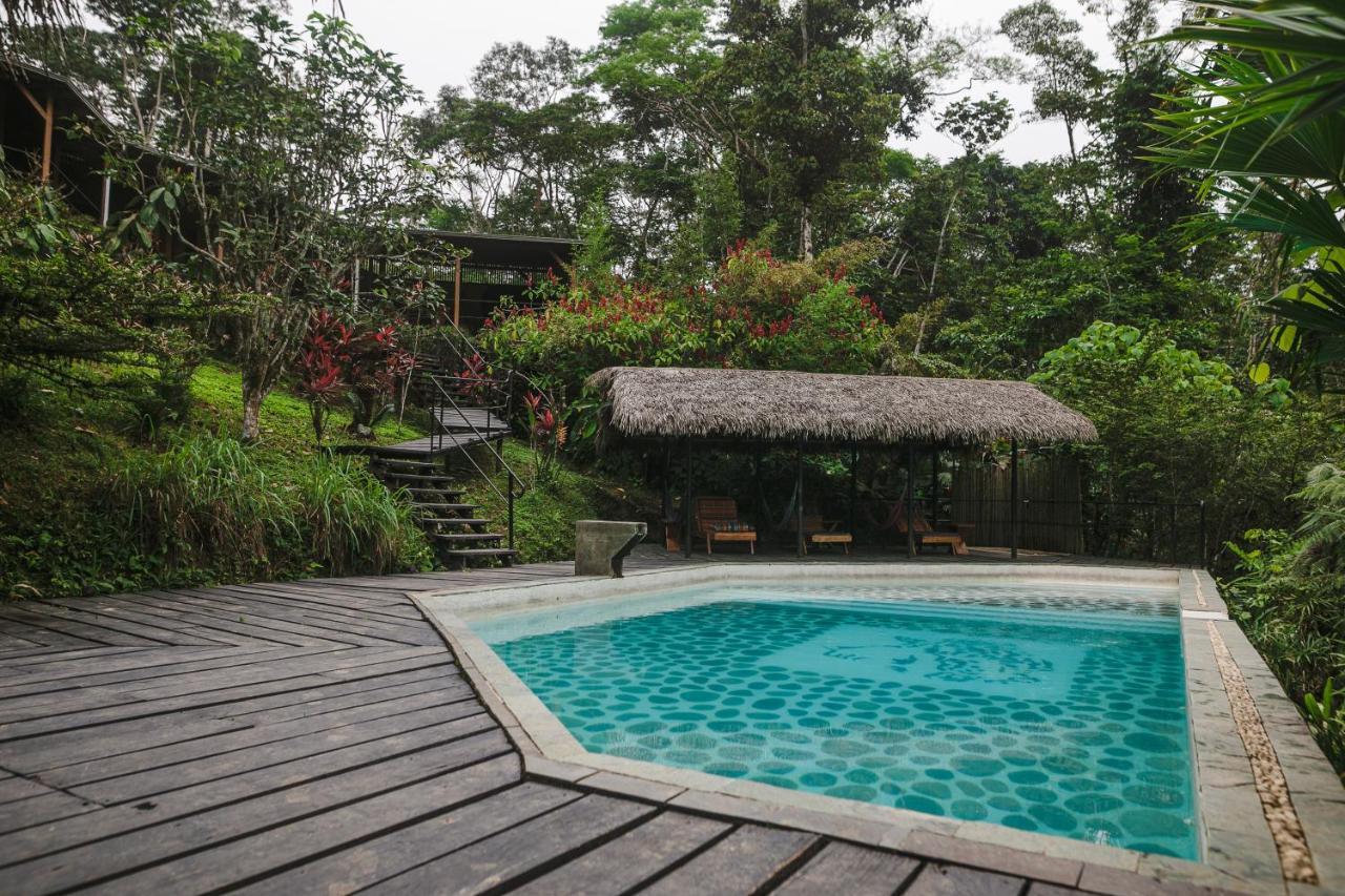 Hamadryade Lodge Puerto Misahuallí Εξωτερικό φωτογραφία