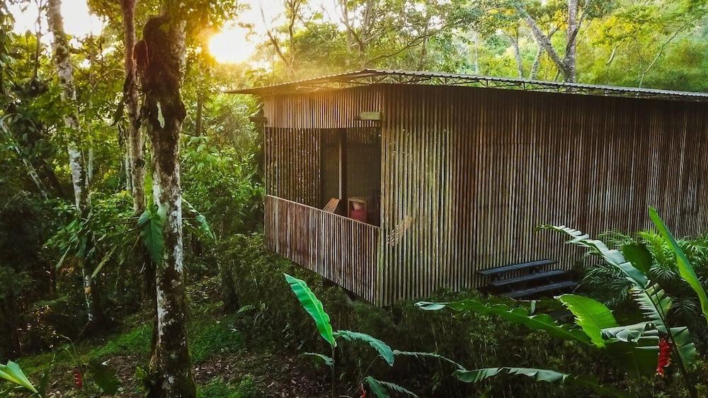 Hamadryade Lodge Puerto Misahuallí Εξωτερικό φωτογραφία