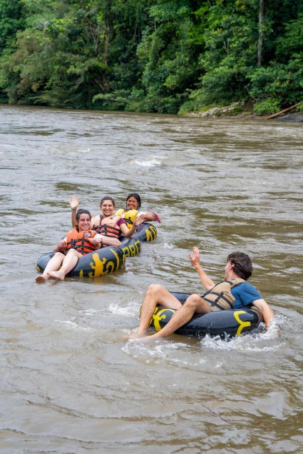 Hamadryade Lodge Puerto Misahuallí Εξωτερικό φωτογραφία