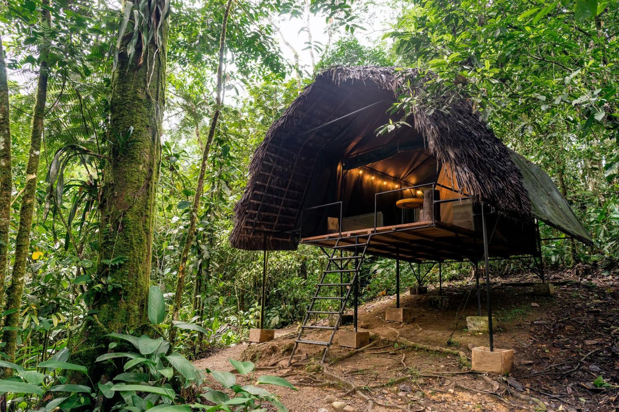 Hamadryade Lodge Puerto Misahuallí Δωμάτιο φωτογραφία